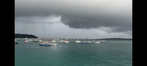 WhatsApp Image 2026-04-23 at 1.26.07 AM