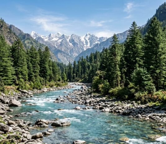The Great Escape Why Your Summer Needs a Reset